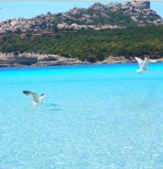 Gg Luxury Apartments - Santa Teresa Di Gallura Bagian luar foto